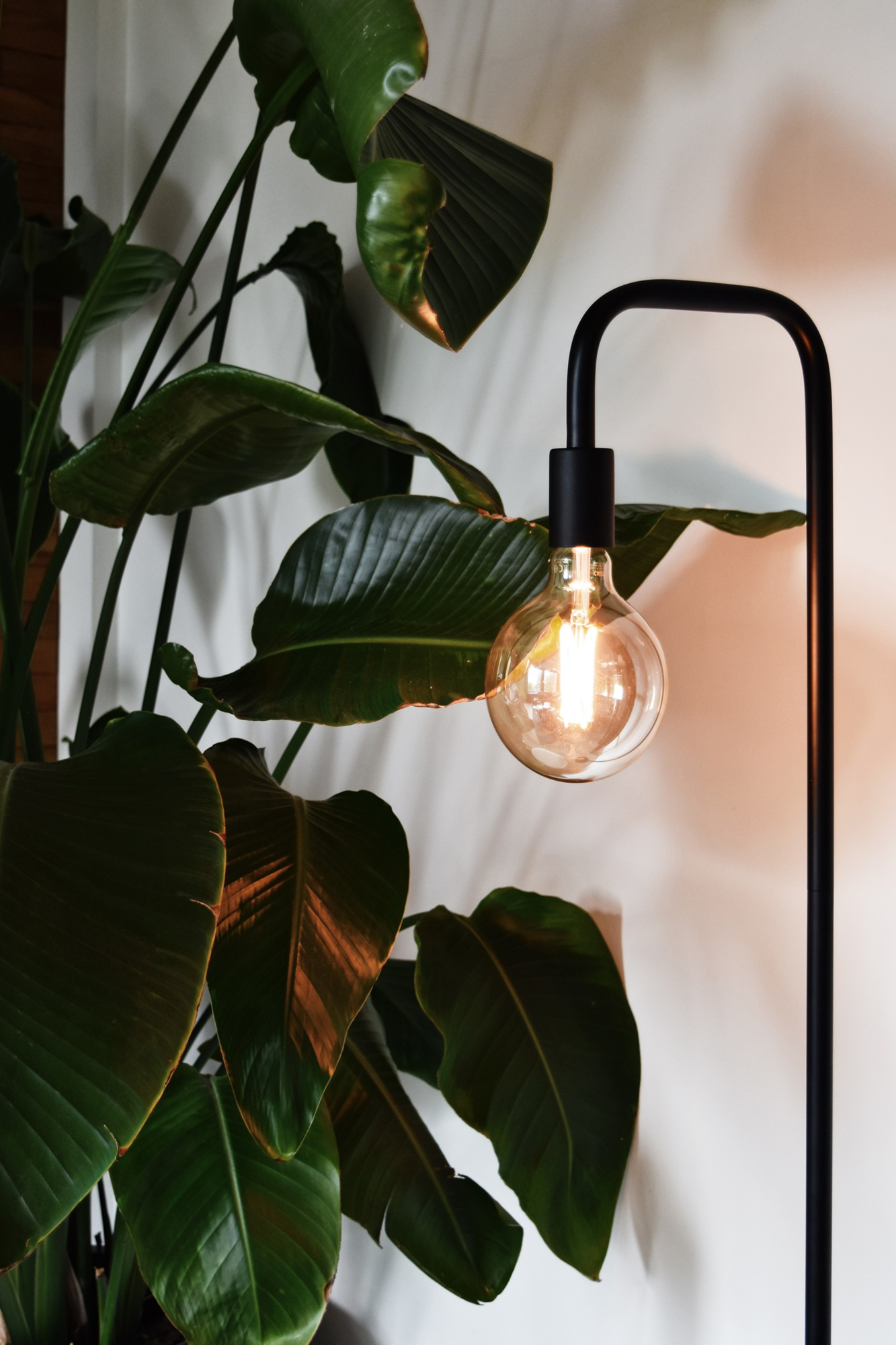 Vloerlamp Stefan zwart
