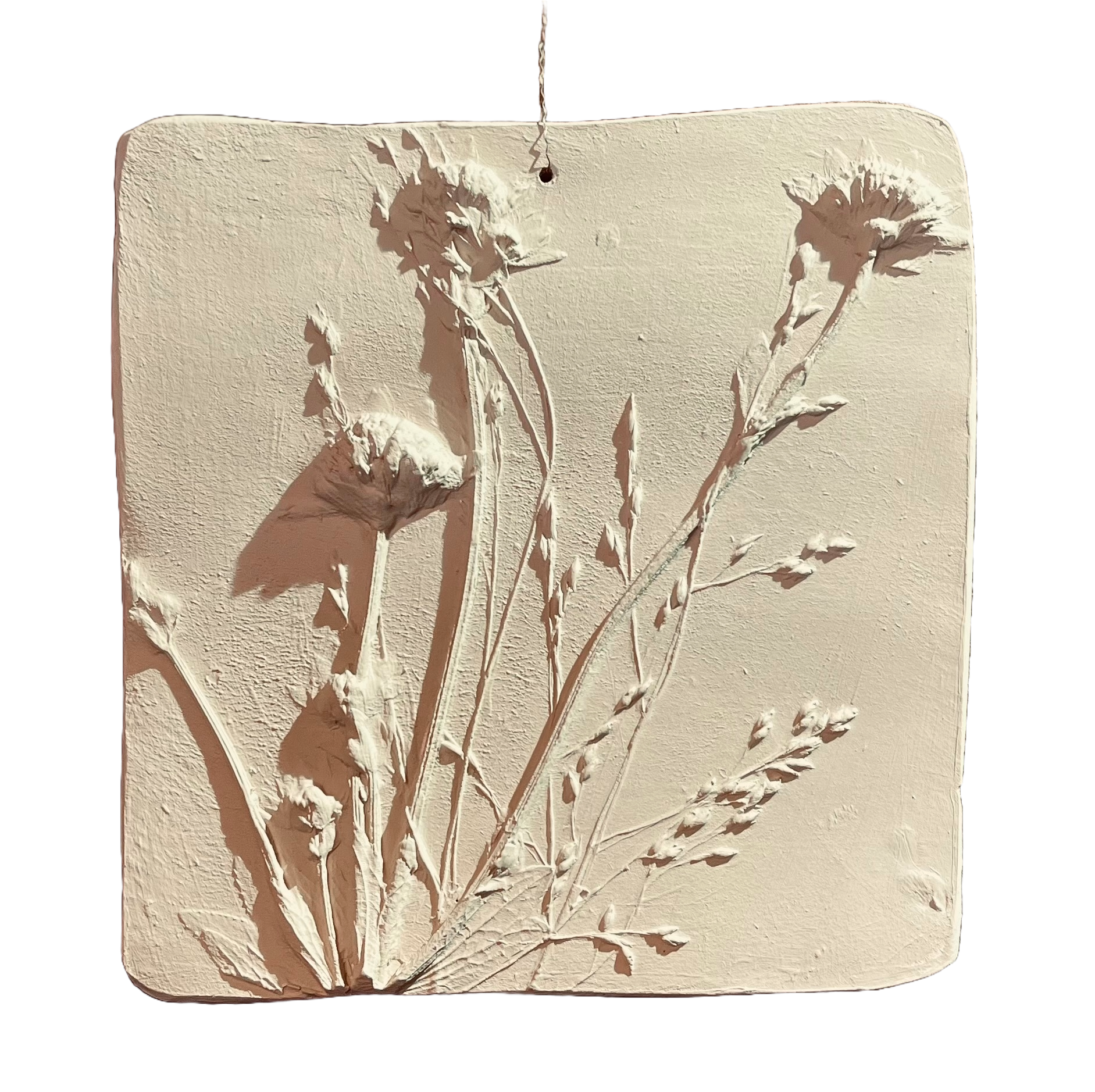 Wanddecoratie botanisch