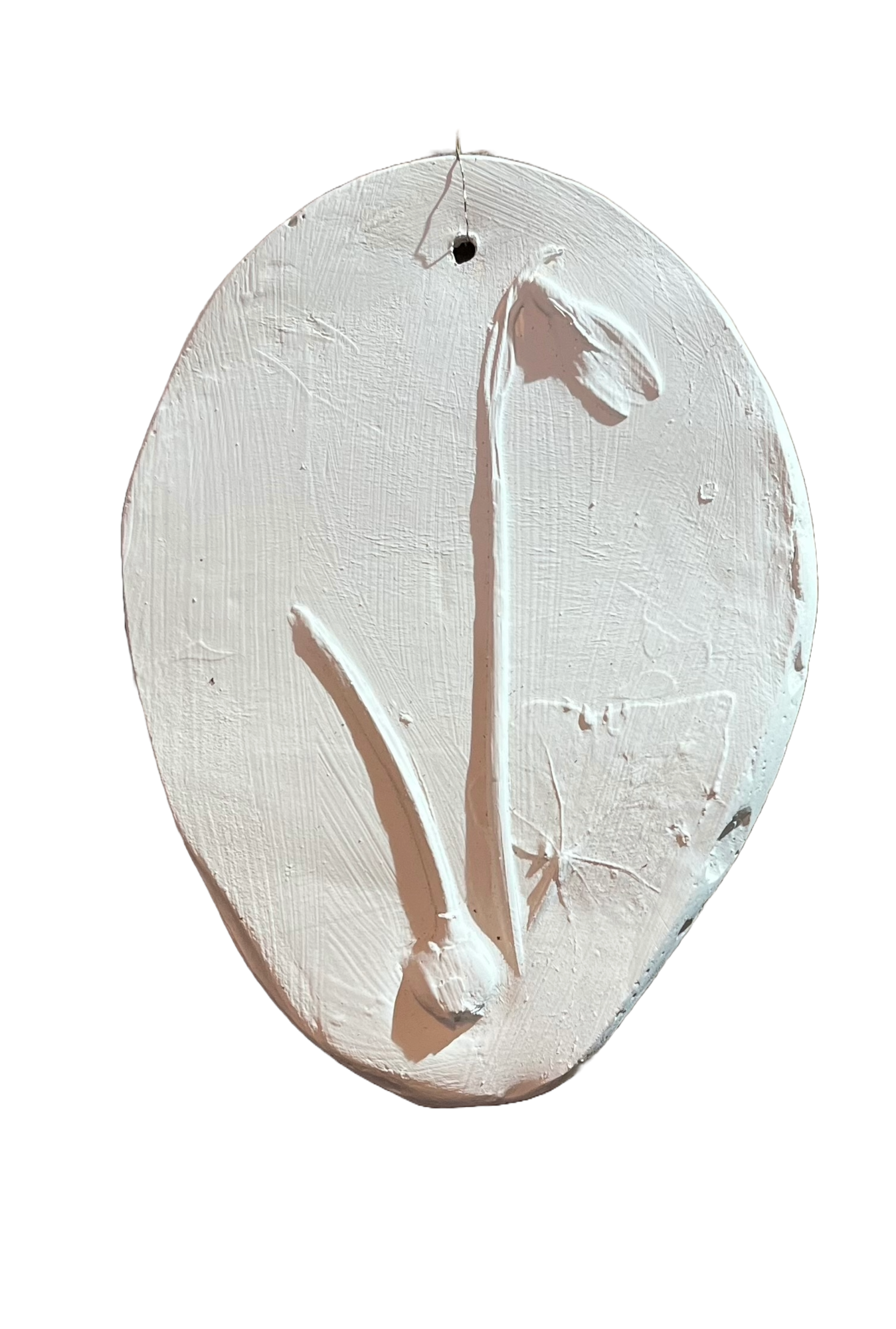 Wanddecoratie botanisch