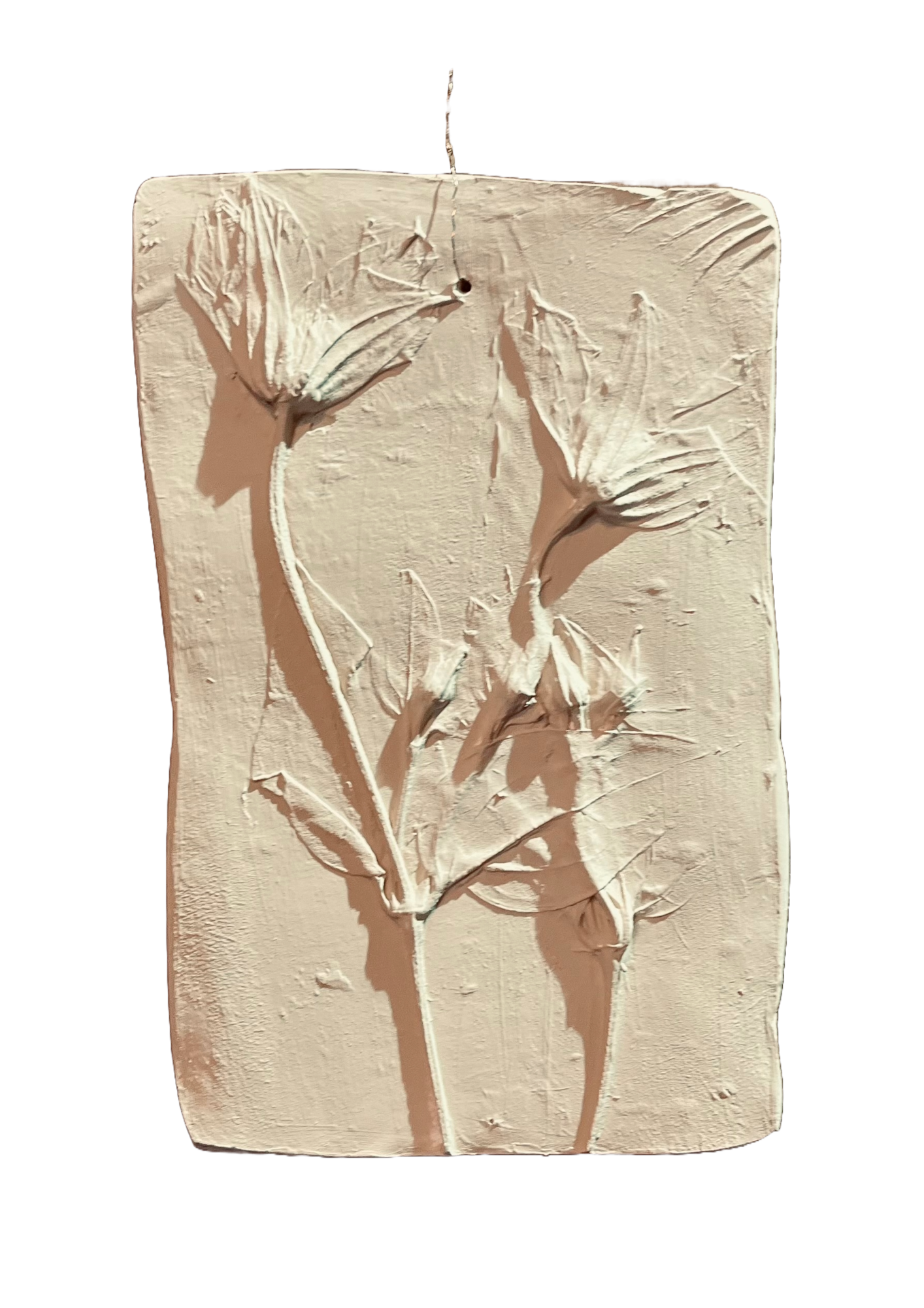 Wanddecoratie botanisch