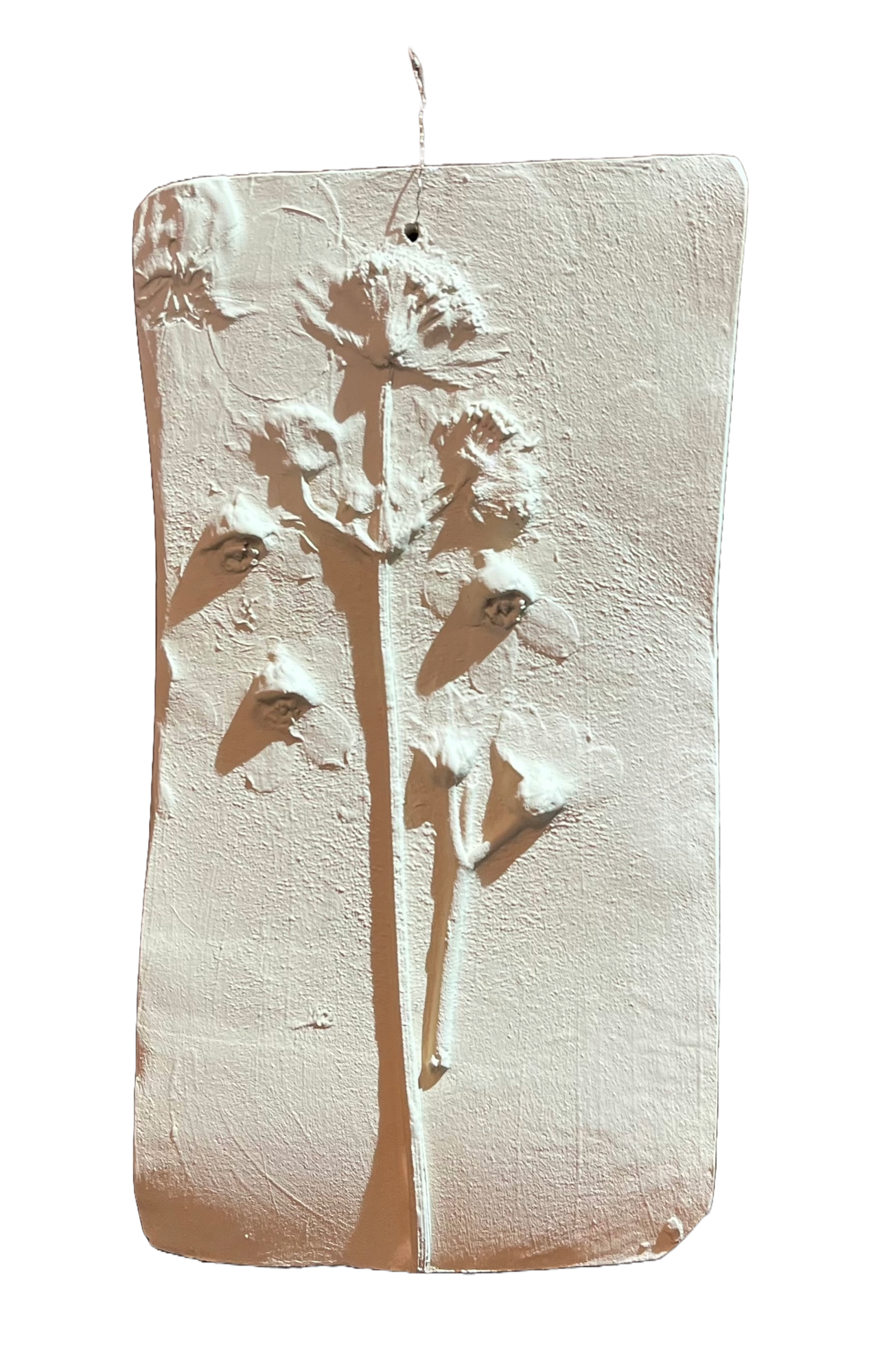 Wanddecoratie botanisch