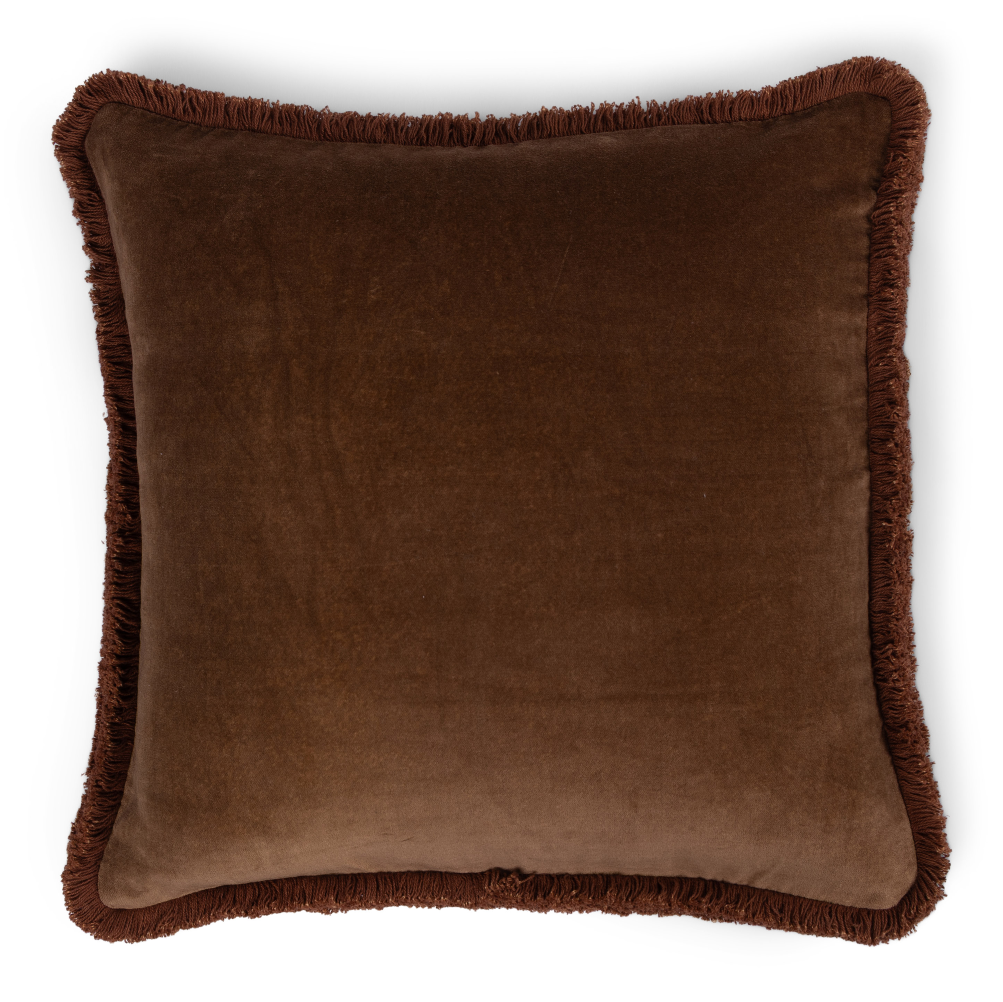 Kussen Velvet