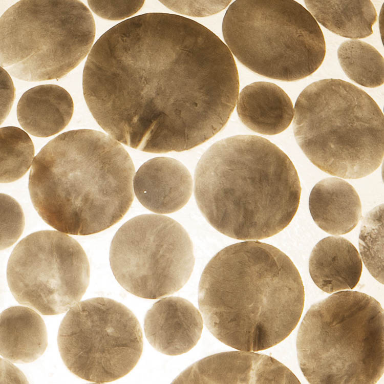 Coins white