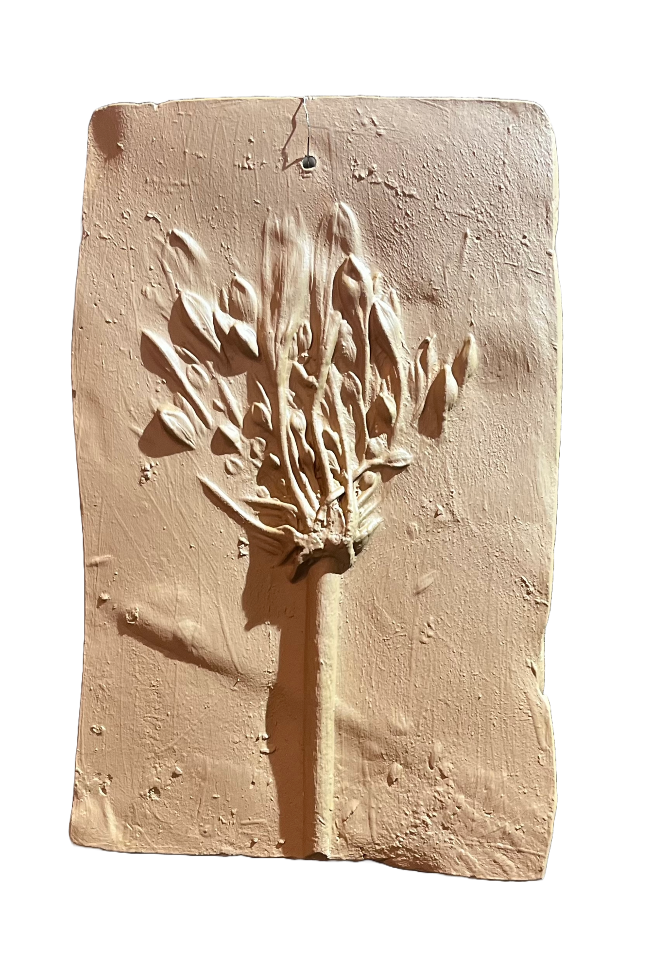 Wanddecoratie botanisch
