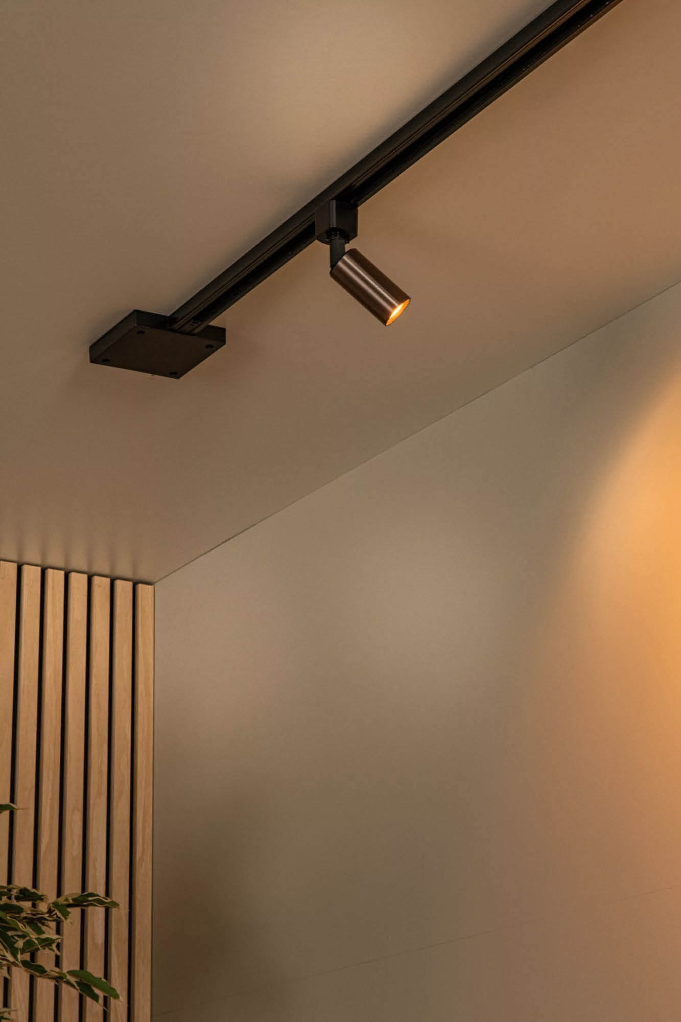 Track Railsysteem - Ritmo Railspot zwart en koffie