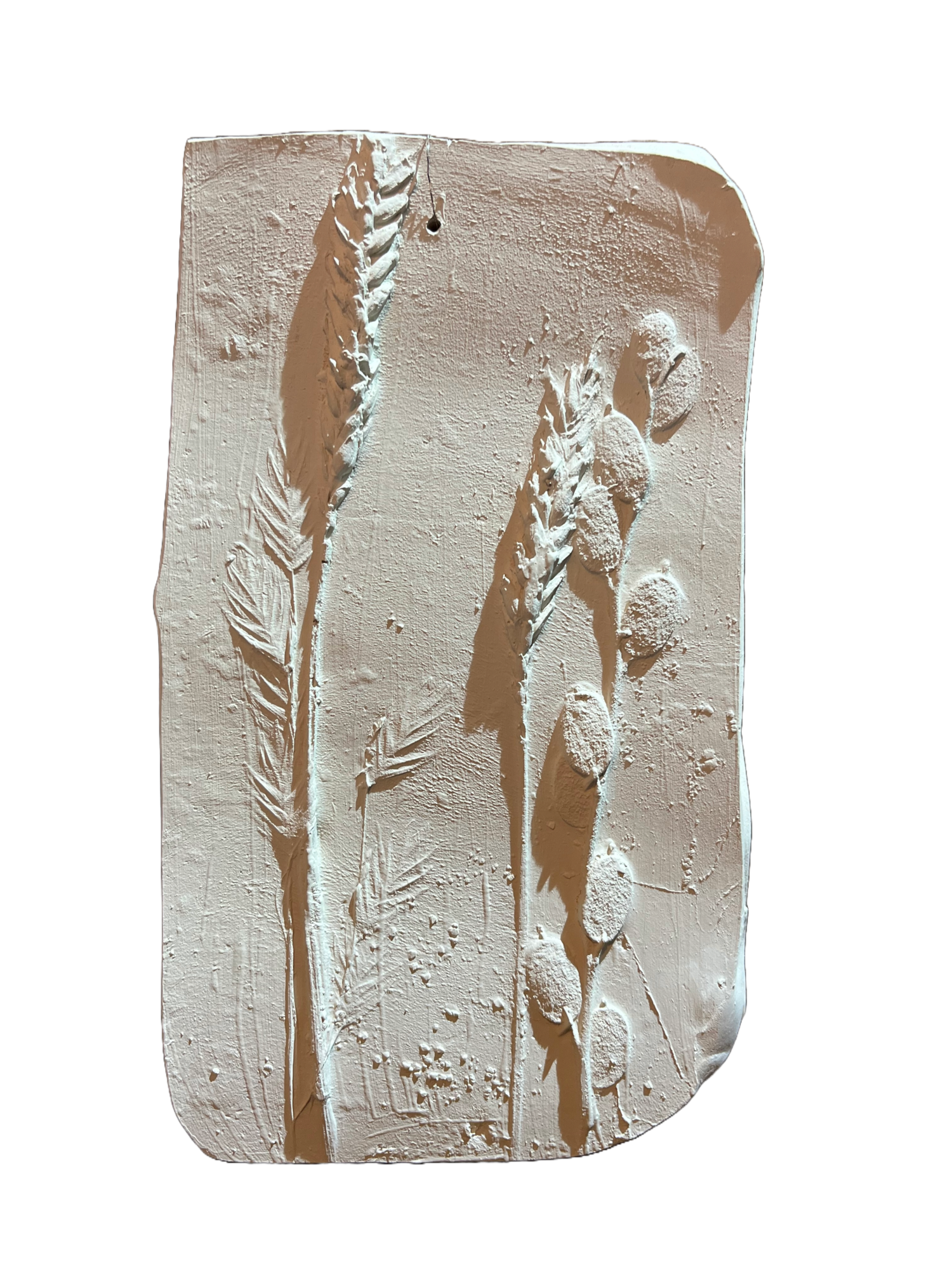 Wanddecoratie botanisch