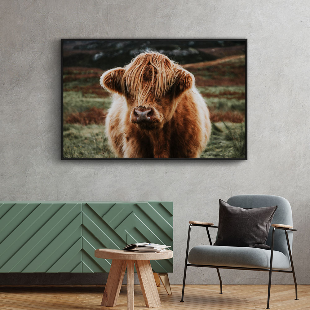 Walljar plexiglas schilderij - Schotse Hooglander