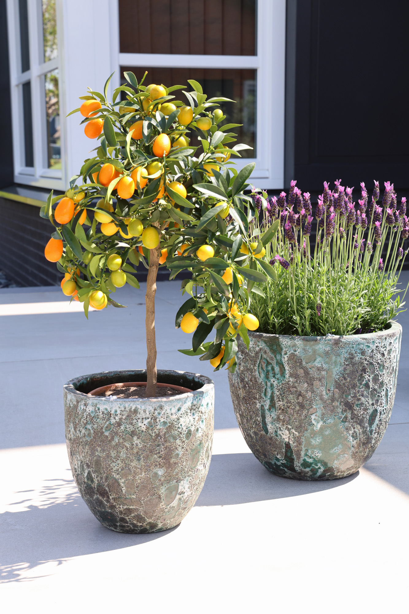 Plantenpot Laki relic jade