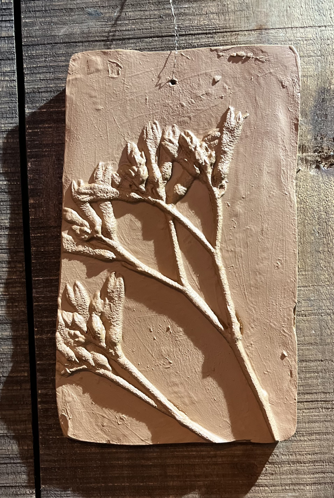 Wanddecoratie botanisch