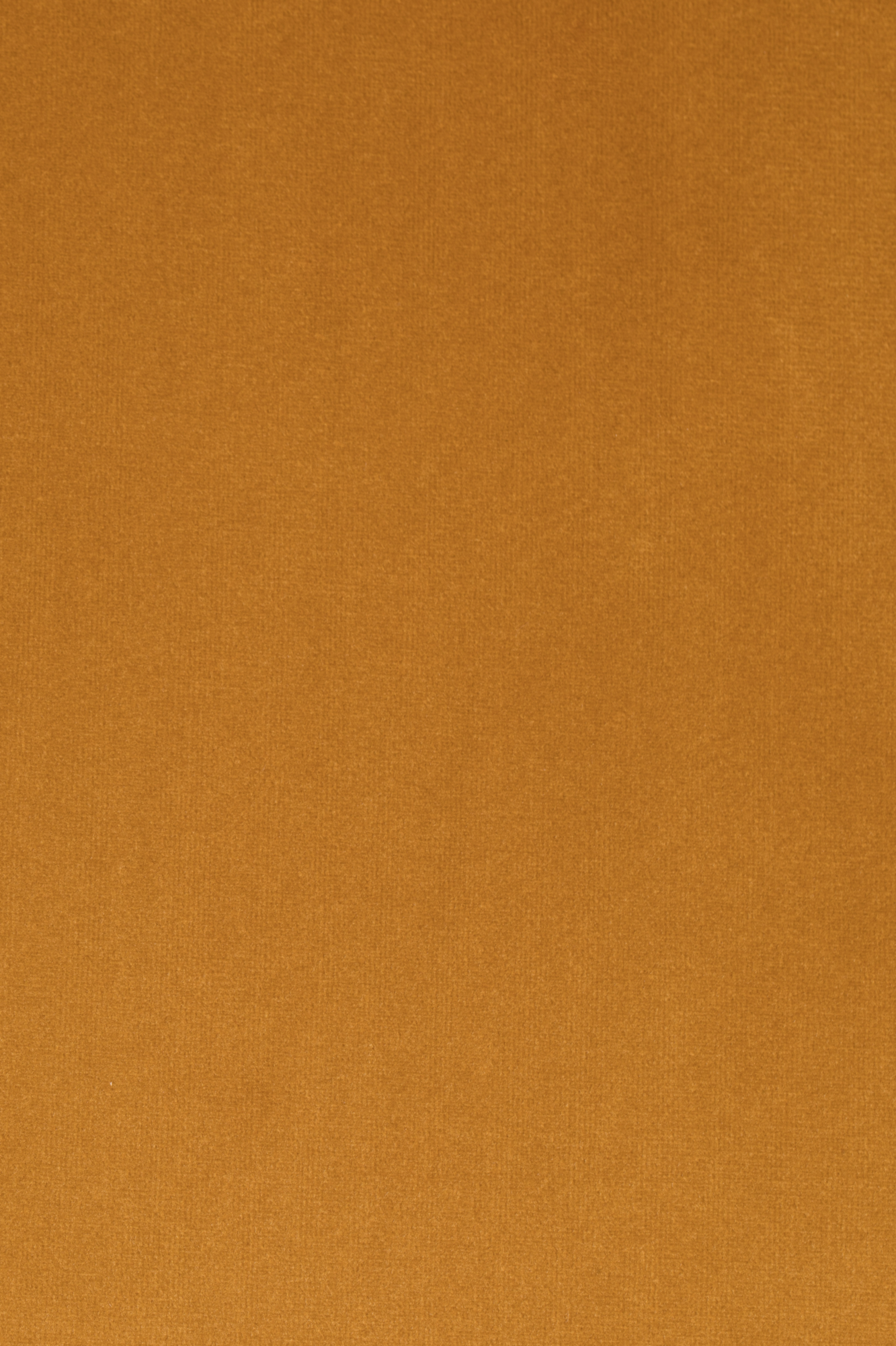 Fauteuil Bon velvet
