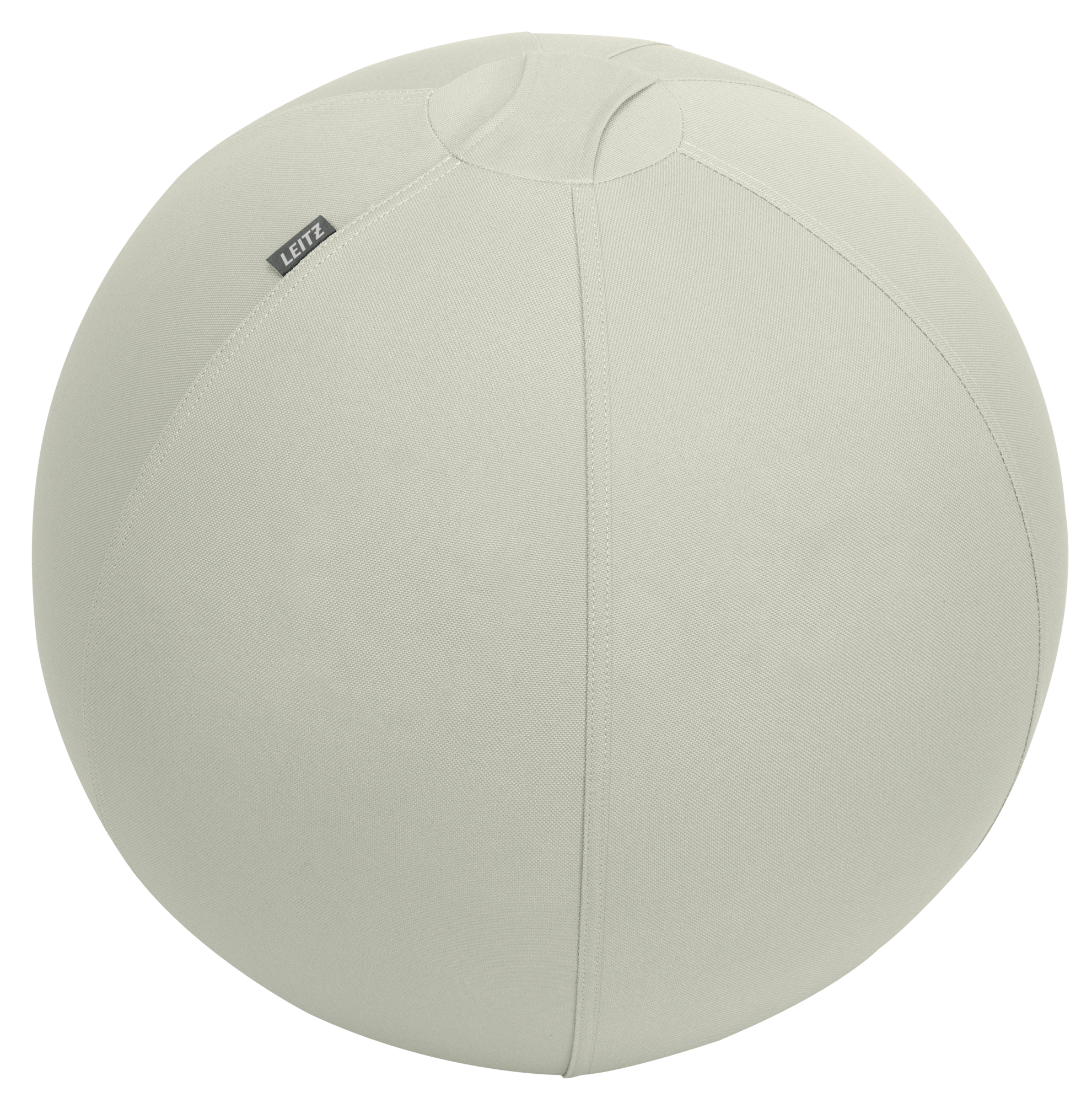 Actieve Zitbal Leitz Ergo 55 cm