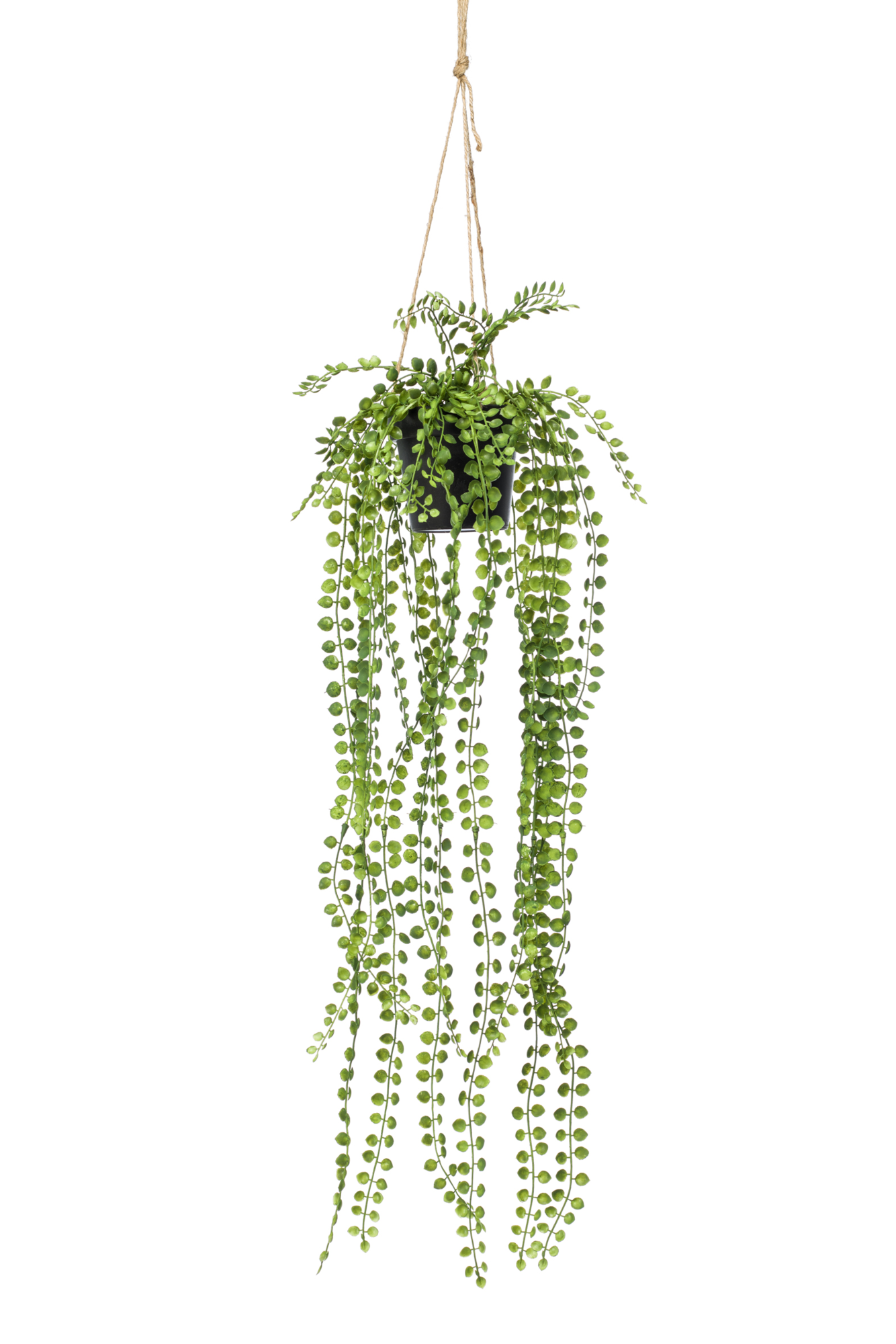 Kunst hangplant