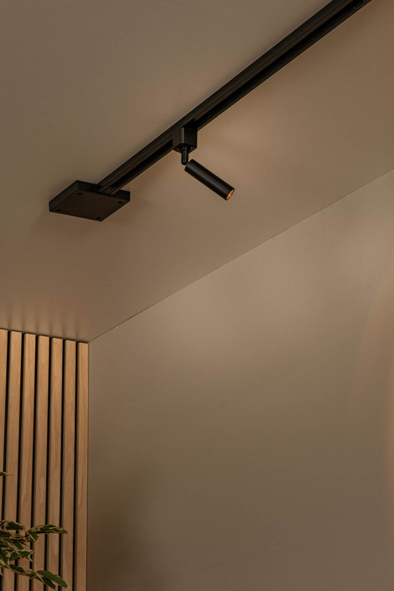 Track Railsysteem - Keoni railspot zwart en koffie