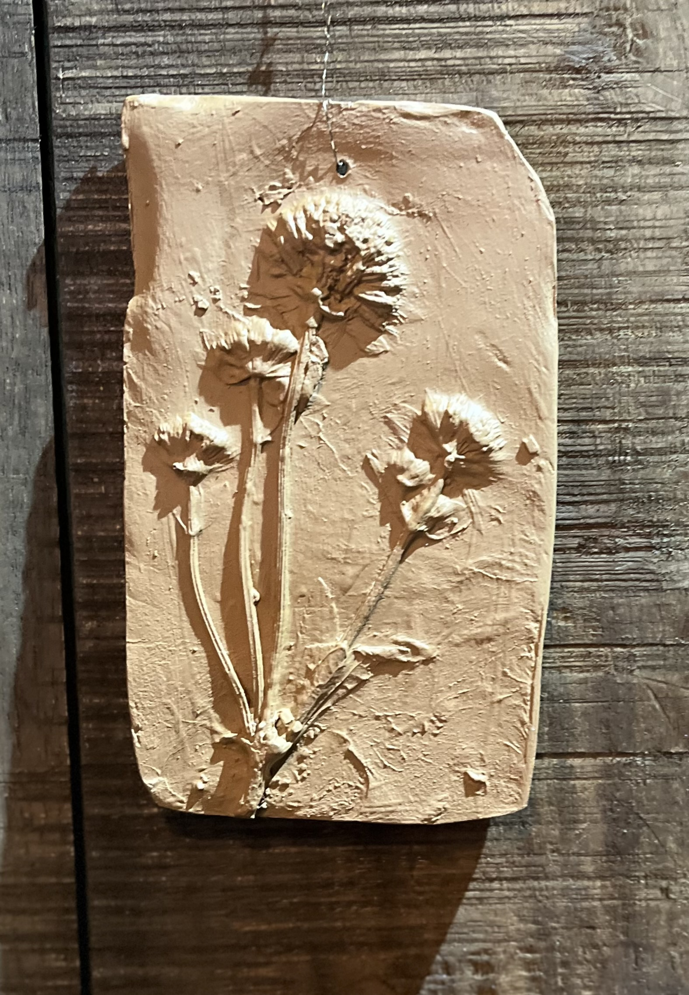 Wanddecoratie botanisch