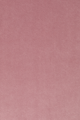 Stoel Floke velvet (set van 2)