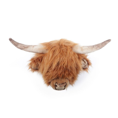 Dierenkop Schotse hooglander Nicolas