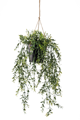 Kunst hangplant
