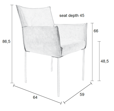 Stoel Dion (set van 2)