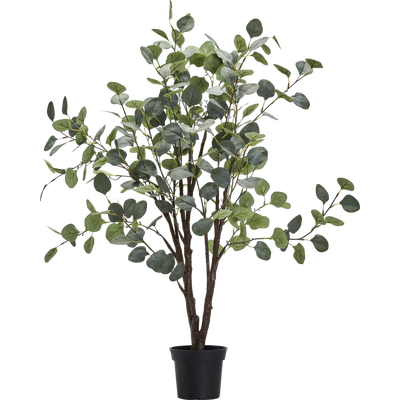 Kunstplant Eucalyptus