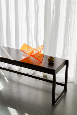 Seeve Official Boekenstandaard Acryl