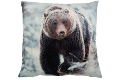 Kussen Animal Fauna