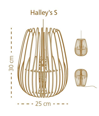 Halley S small