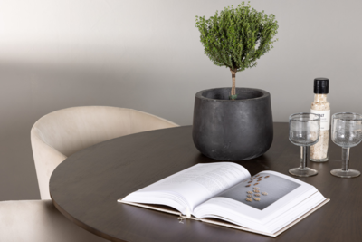 Eettafel Esra hout