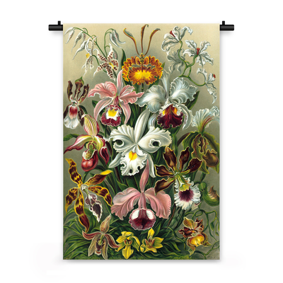 Wandkleed Illustratie van exotische bloemen