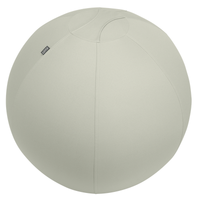 Actieve Zitbal Leitz Ergo 75 cm