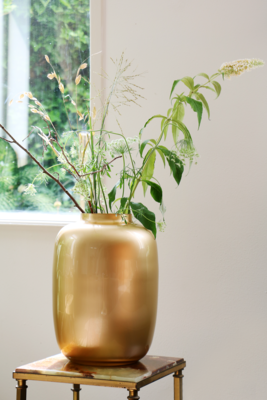 Vaas Artic gold