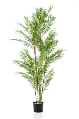 Kunstplant Chamaedorea