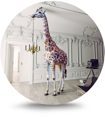 Rond schilderij aluminium Fotoshoot giraffe