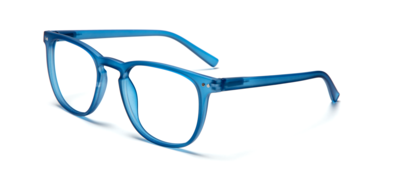 Leesbril LL17C The George Dark Blue