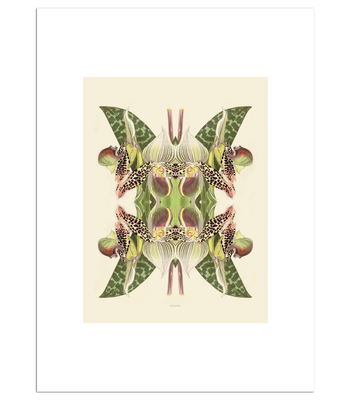 Print Tiger Lily Magic