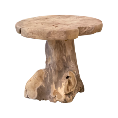 Bijzettafel Wortelhout groo