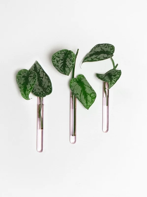 Muurbloempjes - set van 3