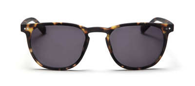 (Zonne)leesbril LL17AS The George Turtle