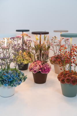 Zafferano oplaadbare tafellamp Reverso