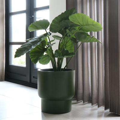 Plantenpot Roskilde 