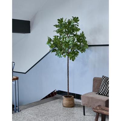 Kunstplant Vijg