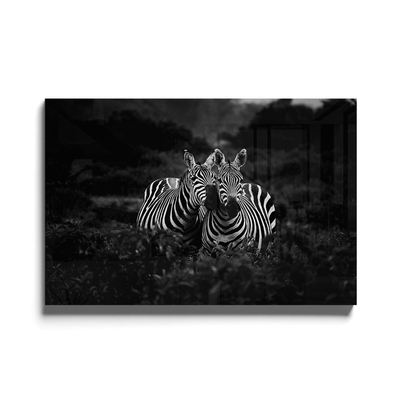 Walljar acrylglas schilderij - Two Zebras Nuzzling
