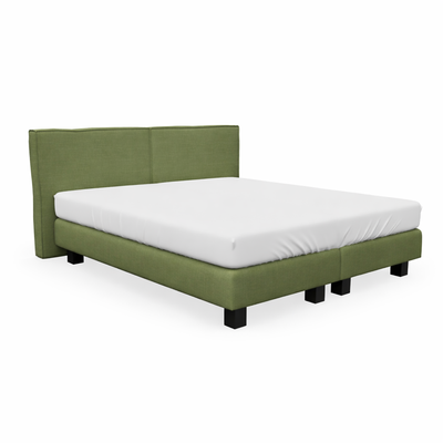 Boxspring Rough Turtle