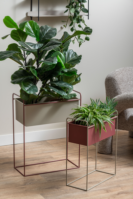 Plantenbak set Reina
