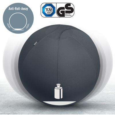 Actieve Zitbal Leitz Ergo 55 cm