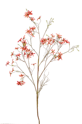 Kunsttak Fosysthia - set van 2