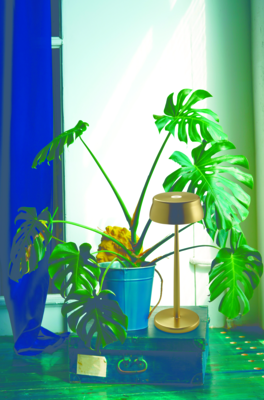 Zafferano oplaadbare tafellamp Sister Light Wifi