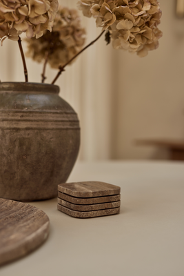 Onderzetters Titanium 4 stuks