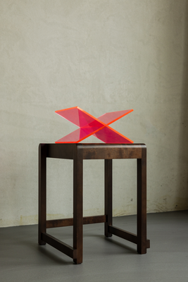 Seeve Official Boekenstandaard Acryl