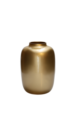 Vaas Artic gold