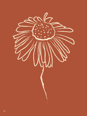 Poster Daisy by Bo Sterenberg